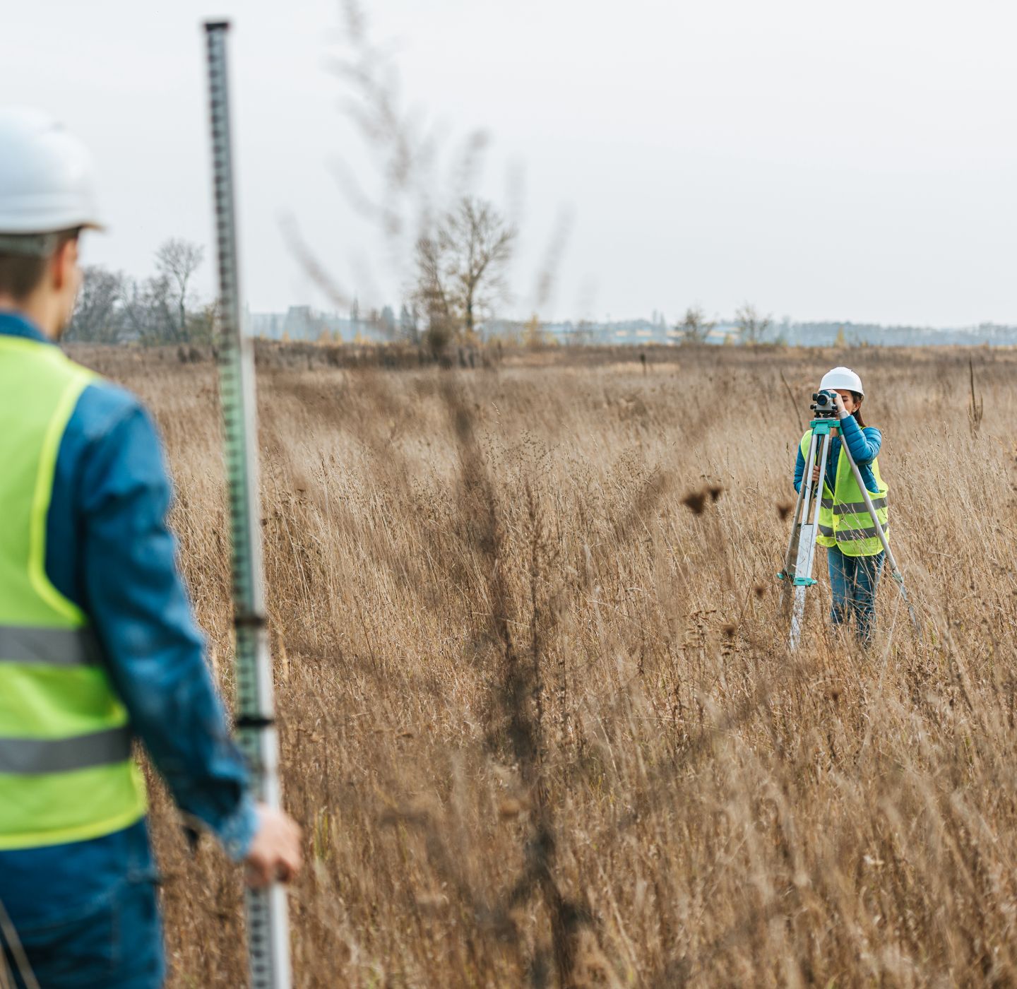 The partners of choice, for landowners